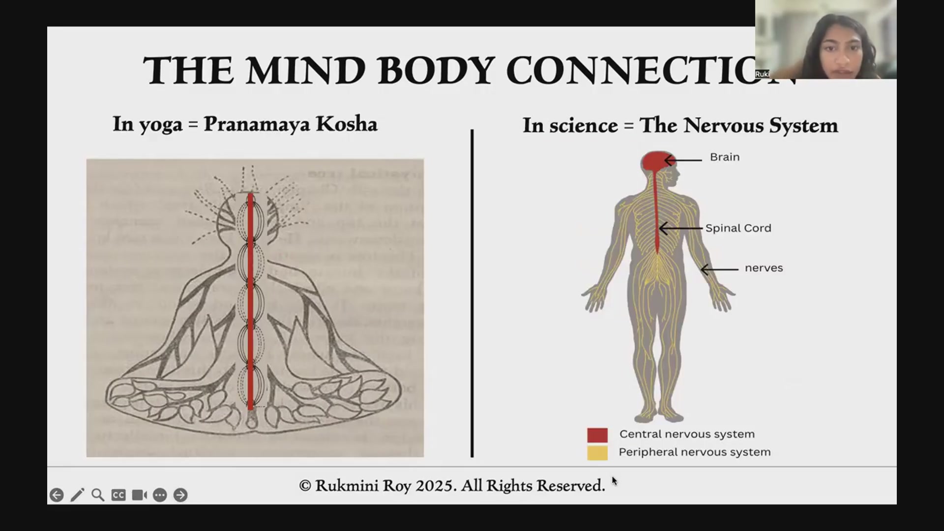 Pranamaya and the nervous system