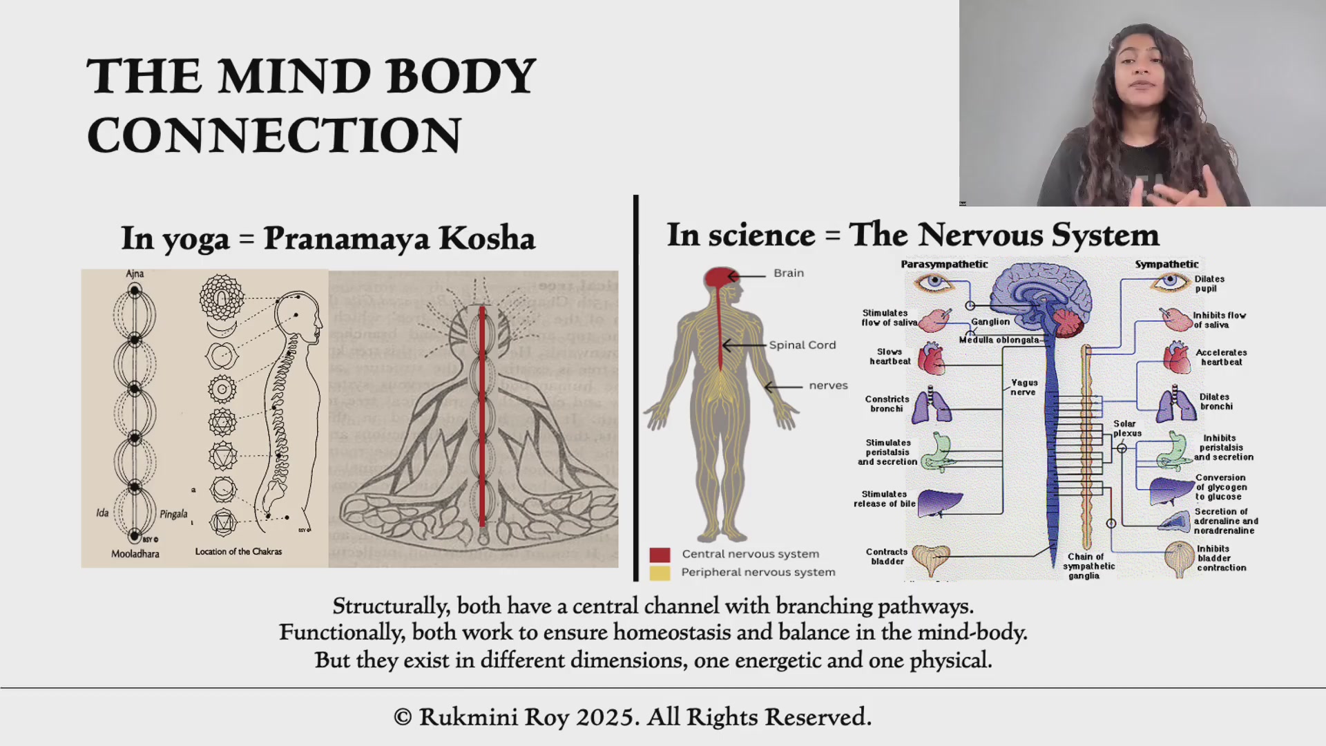 Structural parallels